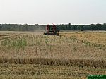 DSCN5311.JPG