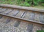 DSCN5364.JPG