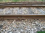 DSCN5369.JPG