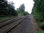 DSCN5377.JPG