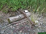 DSCN3518.JPG