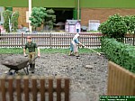 DSCN0457.jpg DSCN0457.jpg