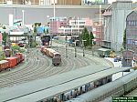 DSCF0155.JPG DSCF0155.JPG