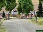DSCN4399.jpg