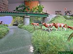 DSCN4432.jpg
