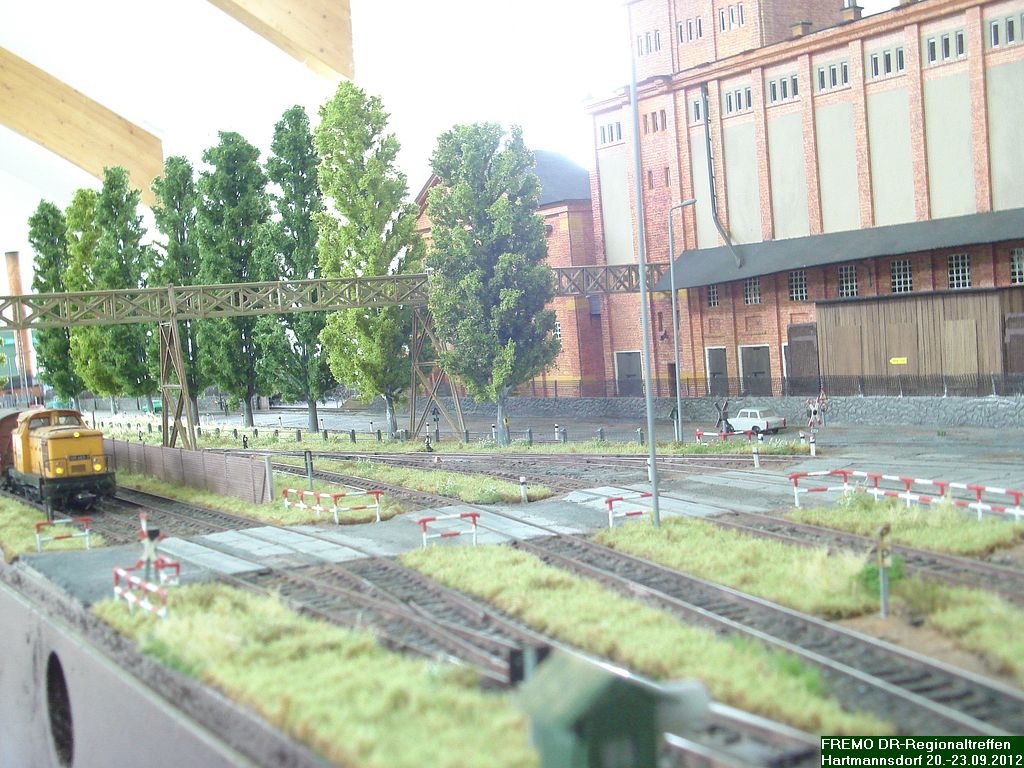 DSC03528.jpg