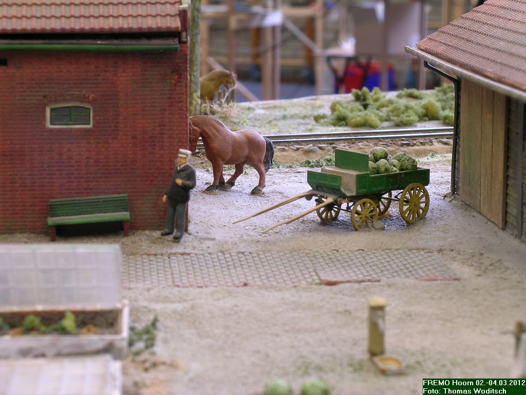 DSCN2267.JPG