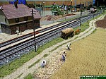 DSCN1833.JPG