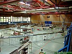 IMG_1592.JPG