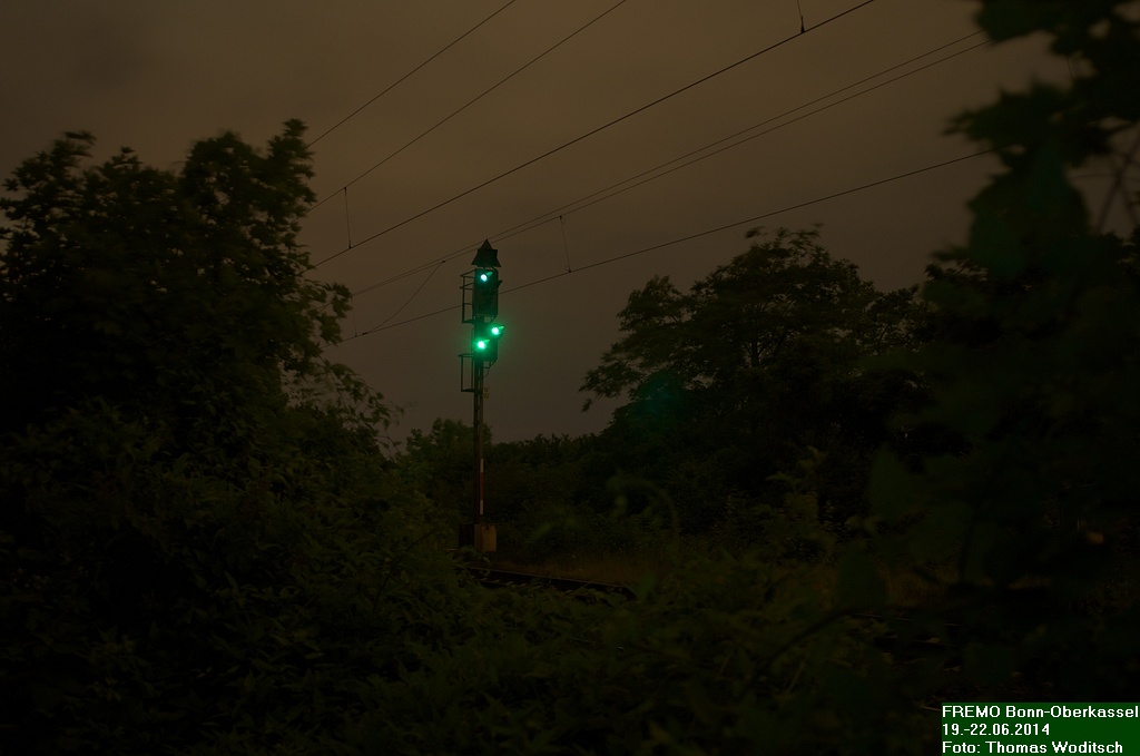DSC_7071.jpg
