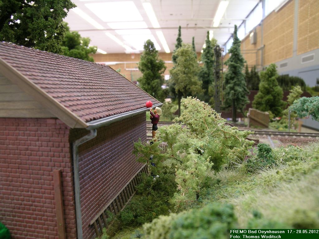 DSCN2458.JPG