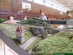 DSCN2456.JPG DSCN2456.JPG