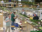 DSCN2489.JPG DSCN2489.JPG