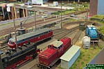 DSC_9476.jpg