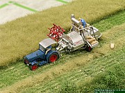 DSCN0276.JPG DSCN0276.JPG
