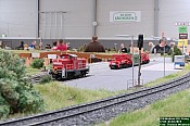 DSC_6495.jpg