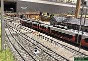 IMG_0706.jpg