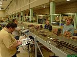 Perleberg 2009 (79).JPG