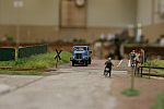 IMG_0652b.JPG