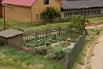 IMG_0655b.JPG
