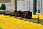 IMG_0667b.JPG