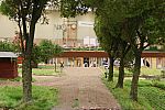 IMG_0696b.JPG