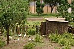 IMG_0701b.JPG