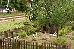 IMG_0702b.JPG