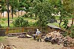 IMG_0703b.JPG