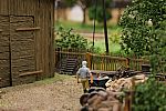 IMG_0704b.JPG