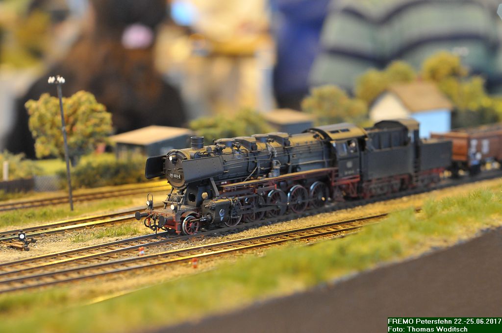 DSC_3959.jpg