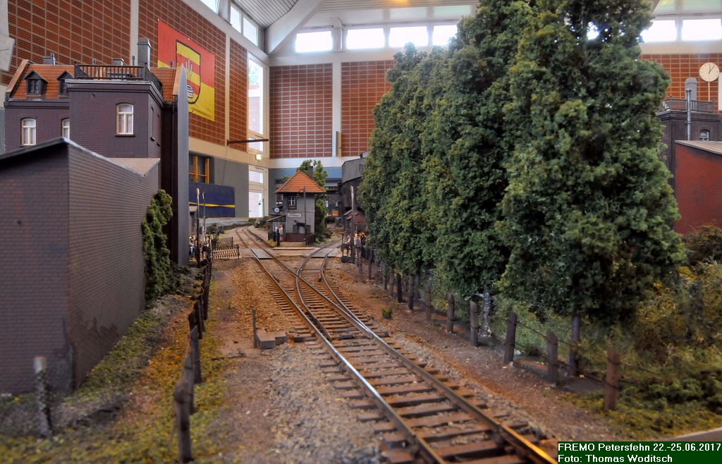 DSC_4002.jpg