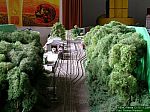 DSCN0012.JPG