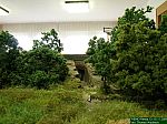 DSCN0024.JPG