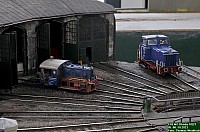 DSC_0510.jpg DSC_0510.jpg