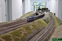 DSC_0520.jpg DSC_0520.jpg