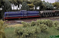 DSC_0521.jpg DSC_0521.jpg