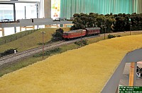 DSC_0569.jpg DSC_0569.jpg
