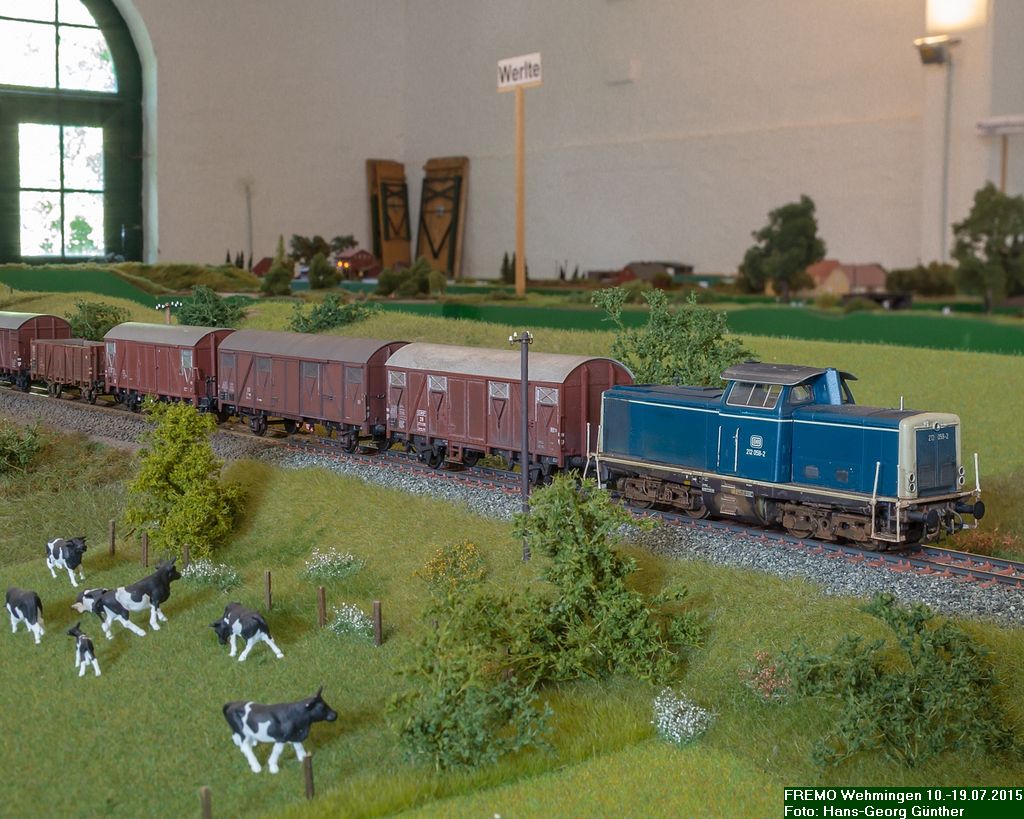 Wehm_2015-2242.jpg