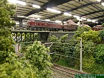 DSCN1100.JPG DSCN1100.JPG