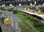 IMG_1184.JPG IMG_1184.JPG